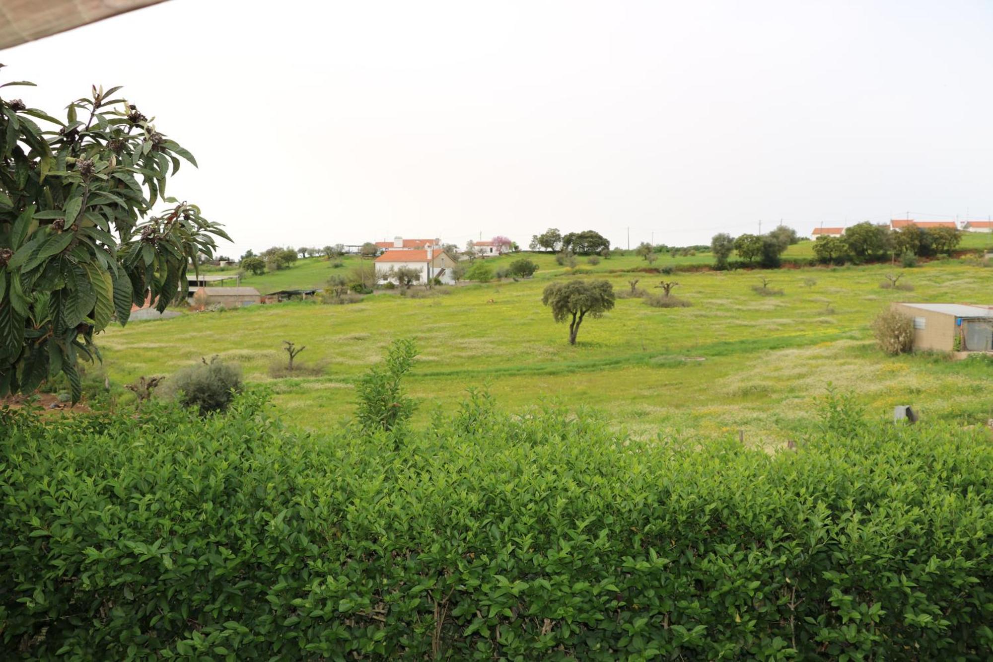 C M Casa De Mares Alojamento Local Casas Novas de Mares Dış mekan fotoğraf